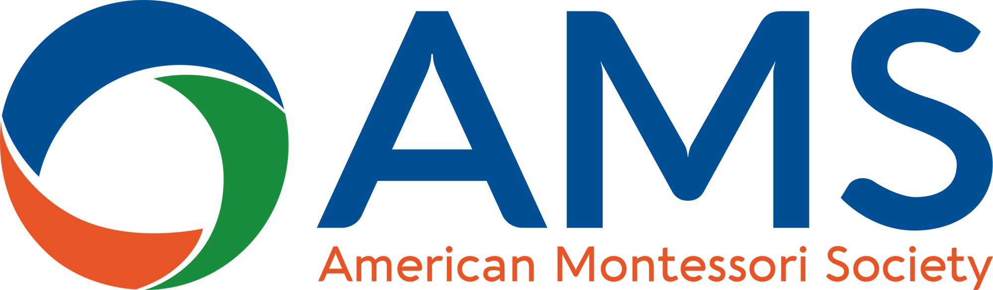 AMS Logo